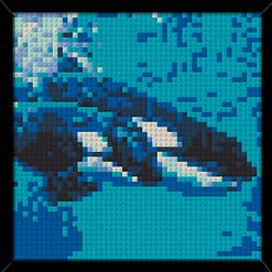 Orca